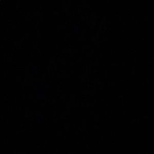 Meet your Posher, Kyra